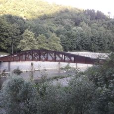 Armeria zubia (Tolosa)