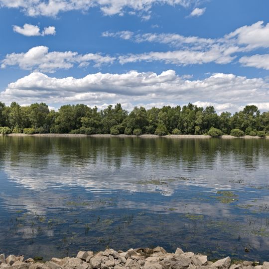 Rheinniederung Mainz-Bingen