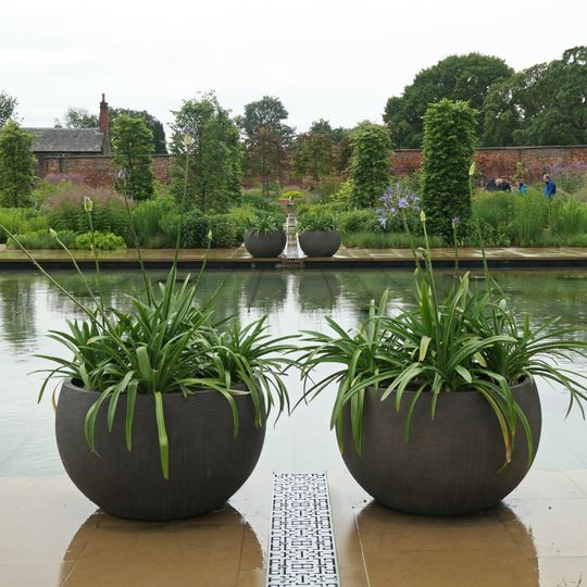 RHS Garden Bridgewater