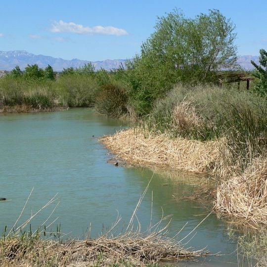 Clark County Wetlands Park
