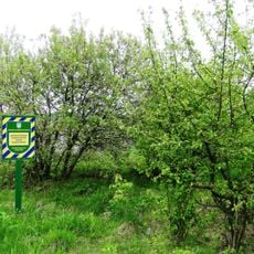 Mala Berezovytsia-Ivanchany Rezerve