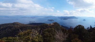 The view 1