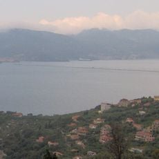 Palmaria