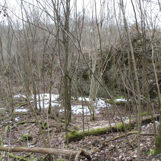 Burgstall Kleinziegenfeld