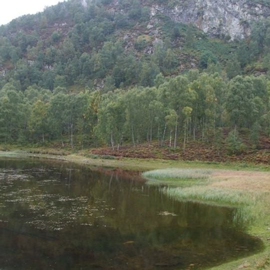 Craigellachie National Nature Reserve