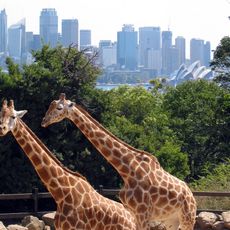 Zoo de Taronga