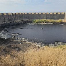 Bitumen's Spring