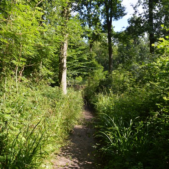 Little Haven Nature Reserve