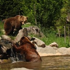 Zoo di Pistoia