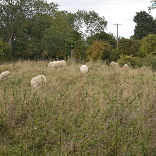 Maulden Church Meadow