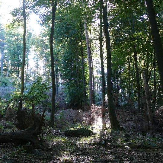 Quellgebiet der Wieslauter