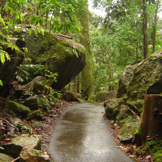 Queensland tropical rain forests