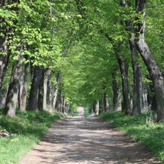 Augustiniánské lípy ve Lnářích