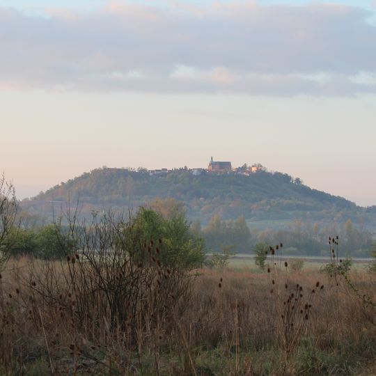 Naturschutzgebiet Brießelserlen