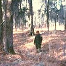 Apalachicola Fort Site