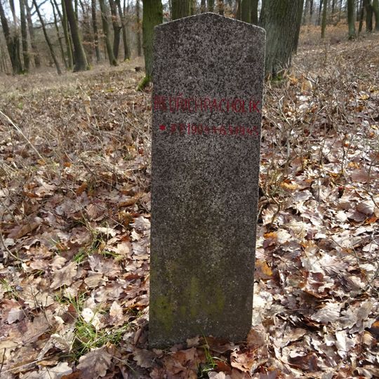 Pomník Bedřicha Pacholíka padlého v květnu 1945 v lese Šance u Komořan