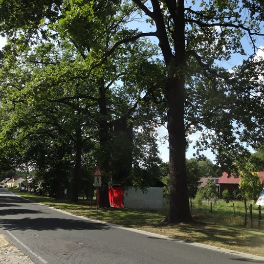 Naturdenkmal Eichenreihe