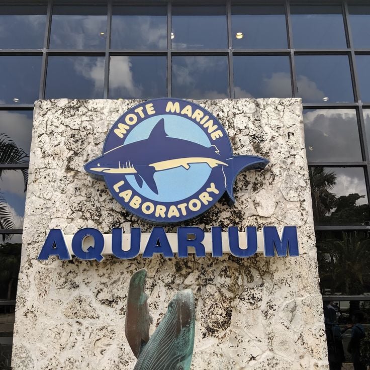 Mote Marine Laboratory & Aquarium