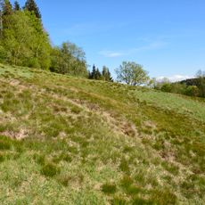 Hangquellmoor Epplings