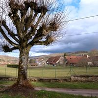 Bellenot-sous-Pouilly