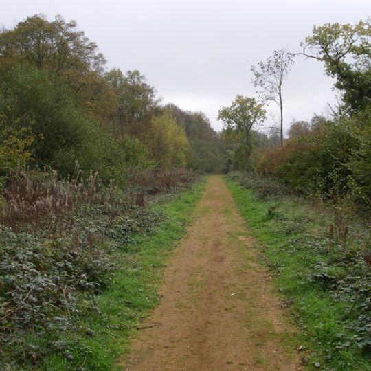 Chalkney Wood