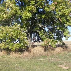 Kříž jihovýchodně od Stranné u rozoraného rozcestí