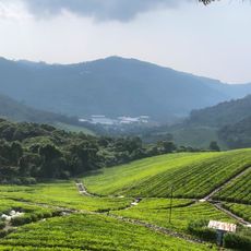 Coonoor Hill Station