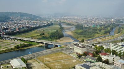 The view 3