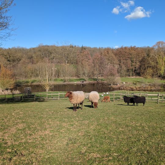 La Petite Bray'tagne