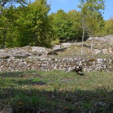 Hochhausener Weinberge