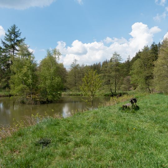 FFH-Gebiet Fürstenberger Wald