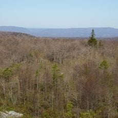 Negro Mountain