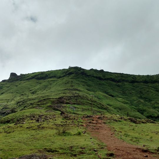Rohida Fort