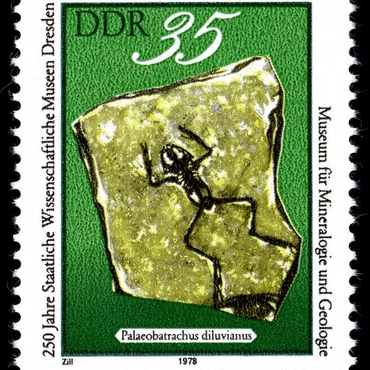 Museum für Mineralogie und Geologie Dresden