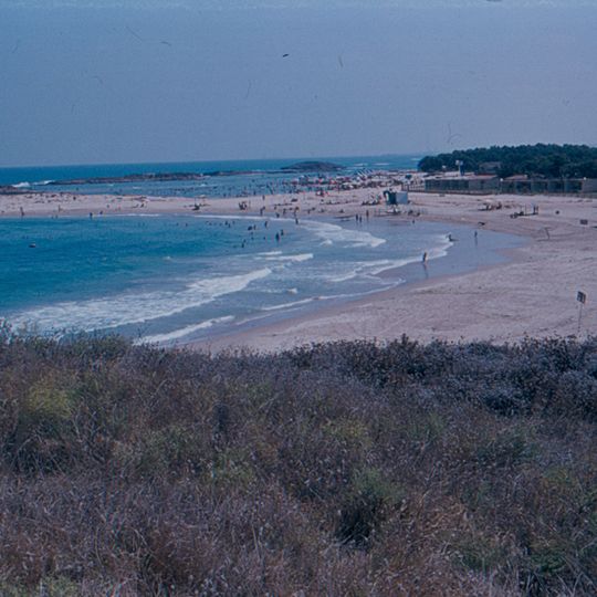 חוף דור-הבונים