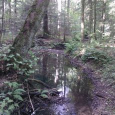 Rezerwat przyrody Sufraganiec