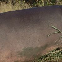 Umkhanyakude District Municipality