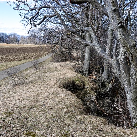 LSG "Gebiete um Bissingen und Ochsenwang" vom 01.06.1988
