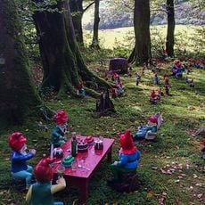 Gnome Reserve