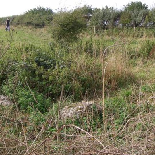 Hampton Down Stone Circle