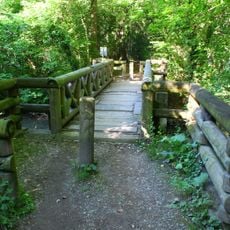 Forêt du Neuhof