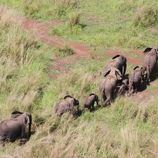Nationalpark Garamba