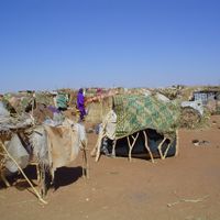 Darfour du Sud