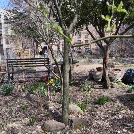 Morris-Jumel Ecological Education Garden