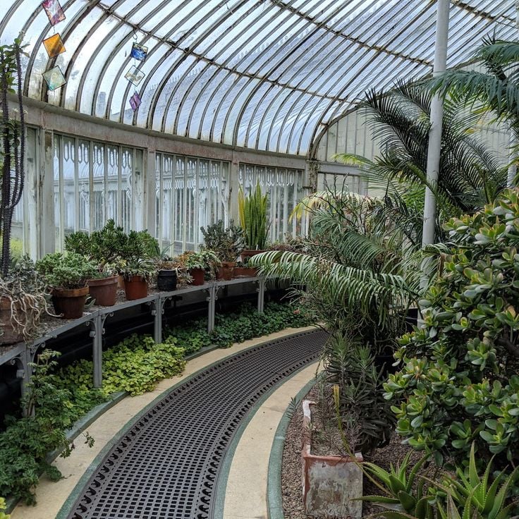 Belfast botaniske hage