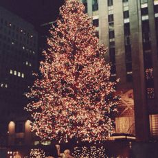 Rockefeller Center Christmas Tree
