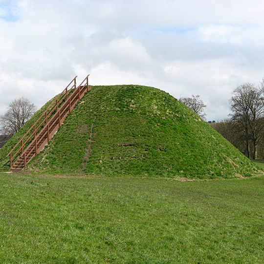 Hawick Moat Park, motte