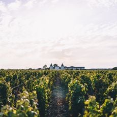 Château Lilian Ladouys