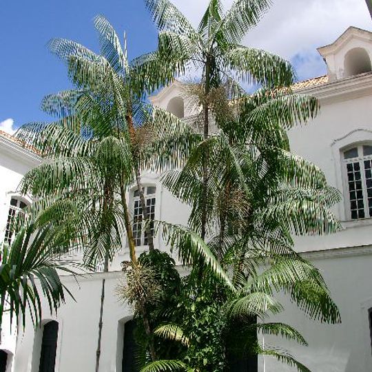 Jardín botánico de Tingo María