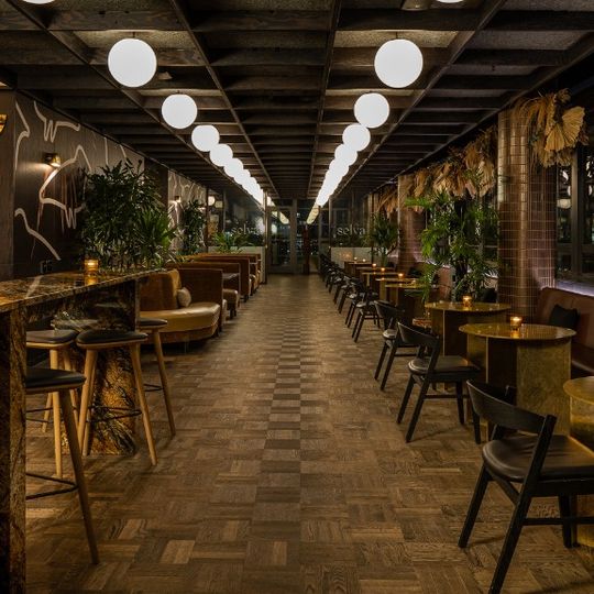 Selva Rooftop Lounge